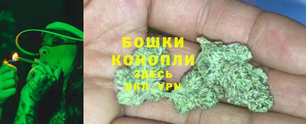 хмурый Белокуриха