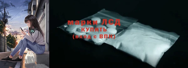 хмурый Белокуриха